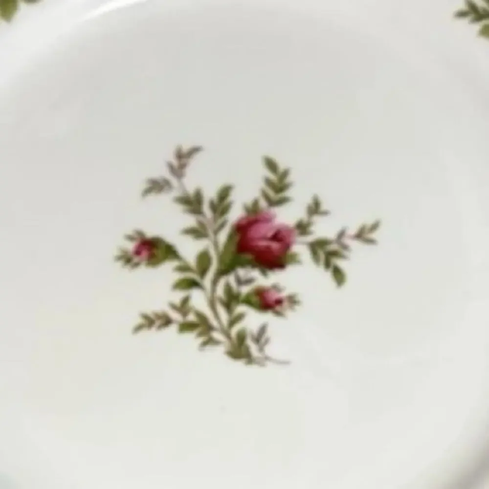 Vintage Johann Haviland Moss Rose 5 Piece Place Setting Traditions Fine China